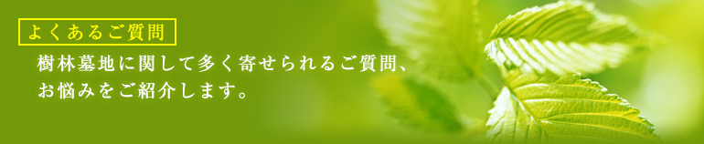 よくある質問 樹林墓地に関して多く寄せられるご質問、お悩みをご紹介します。