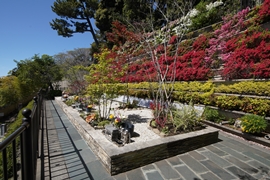 樹林墓地「そせい」イメージ5