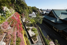 樹林墓地「そせい」イメージ1